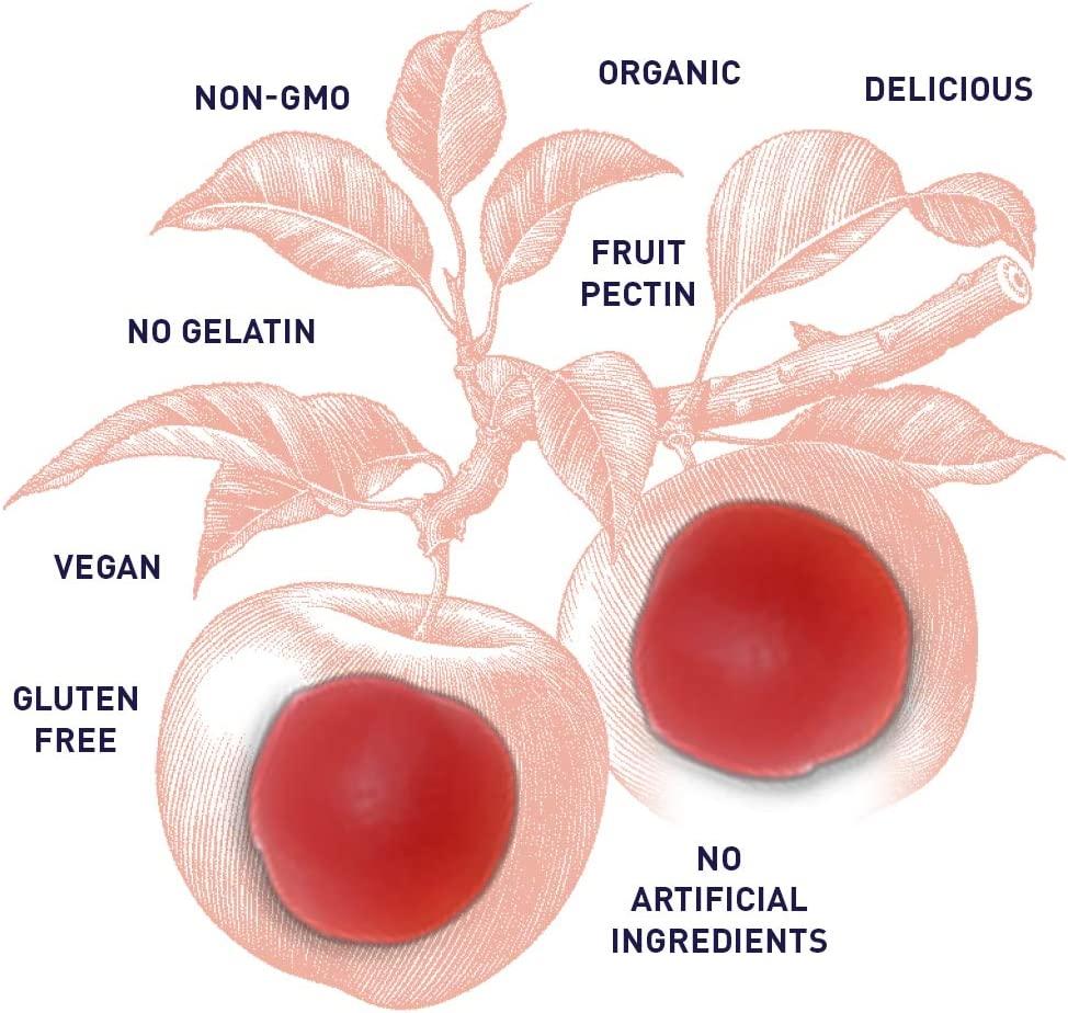 Garden of Life MyKind Organics Organic Apple Cider Vinegar Gummies 60