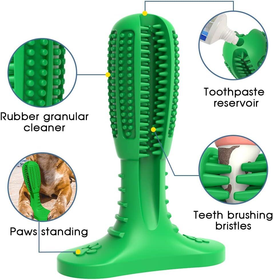 RUCACIO Dog Chew Toy - Durable Outdoor Interactive Toothbrush Toy for  Medium Dogs | Dental Care & Teeth Cleaning | Puppy Birthday Gifts - A-Green  | Buy Now with Express International Delivery | GoSupps.com