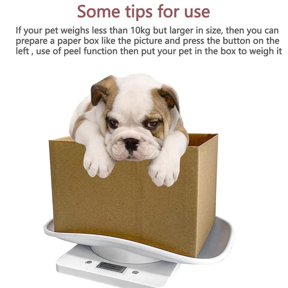 10kg/22lbs Digital Pet Scale to Measure Weigh New Born Puppy Kitten White  Scale
