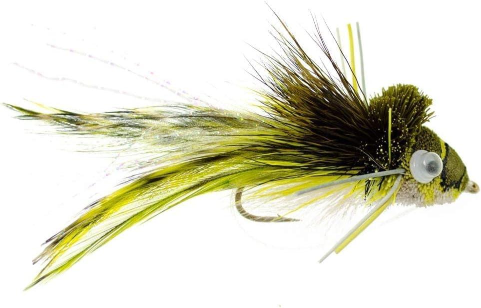 The Fly Fishing Place Bass Bug Collection - Set of 12 Bass Fly Fishing Flies  - Surface Poppers Divers and Subsurface - Hook Sizes 2,4 and 6