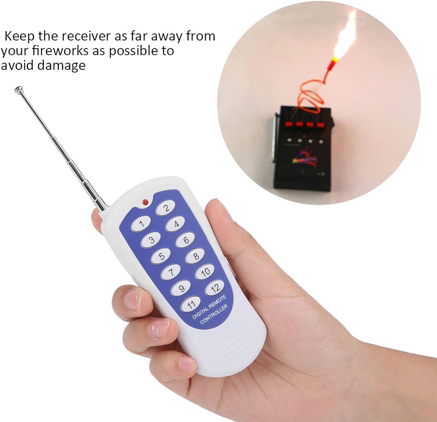 LIZEALUCKY Professional 12 Channel Wireless Fireworks Firing System