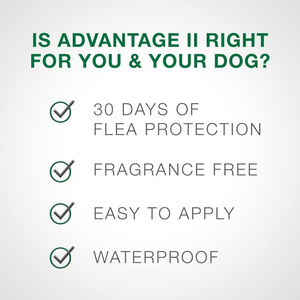 Advantage ii small 2024 dog 6 pack