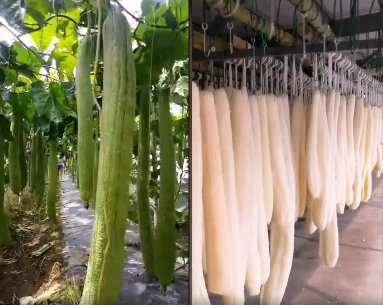 Natural Shower Loofah Sponge Exfoliating Body Scrubbers Organic Shower