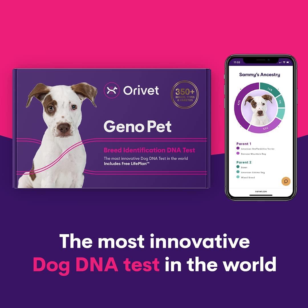 Pet Dna Dog Breed Blood Test Orivet Pack Dog DNA Test Kit Genopet