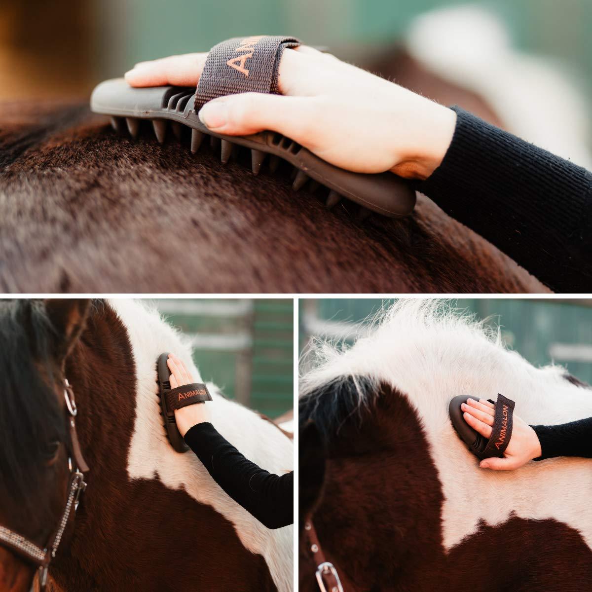 Brosse étrille Cheval Animalon CareFlex – Caoutchouc Flexible Et Ergonomique, Neuve