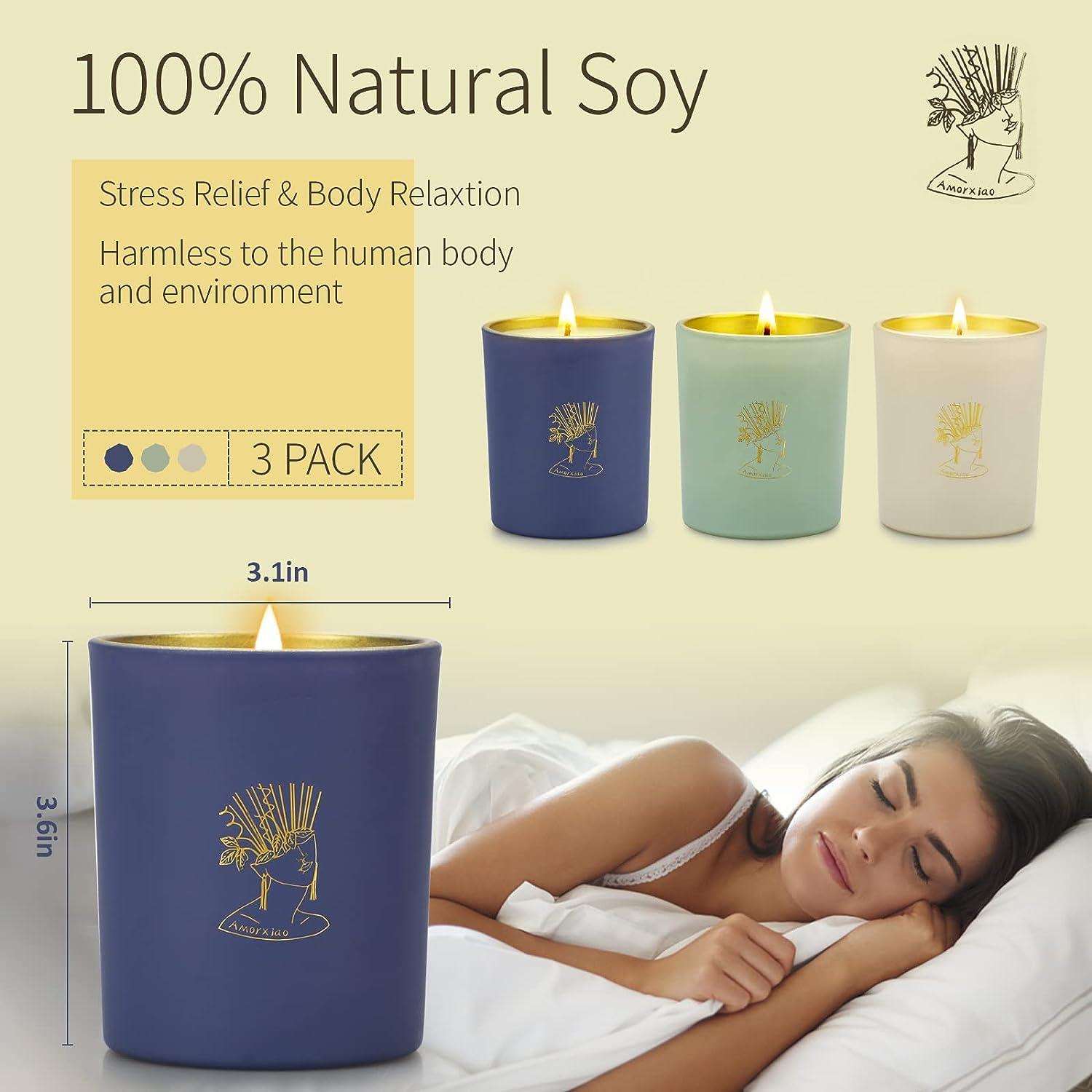 新品未使用abSalon SPRING SLEEP SCENTED CANDLE abSalon SPRING