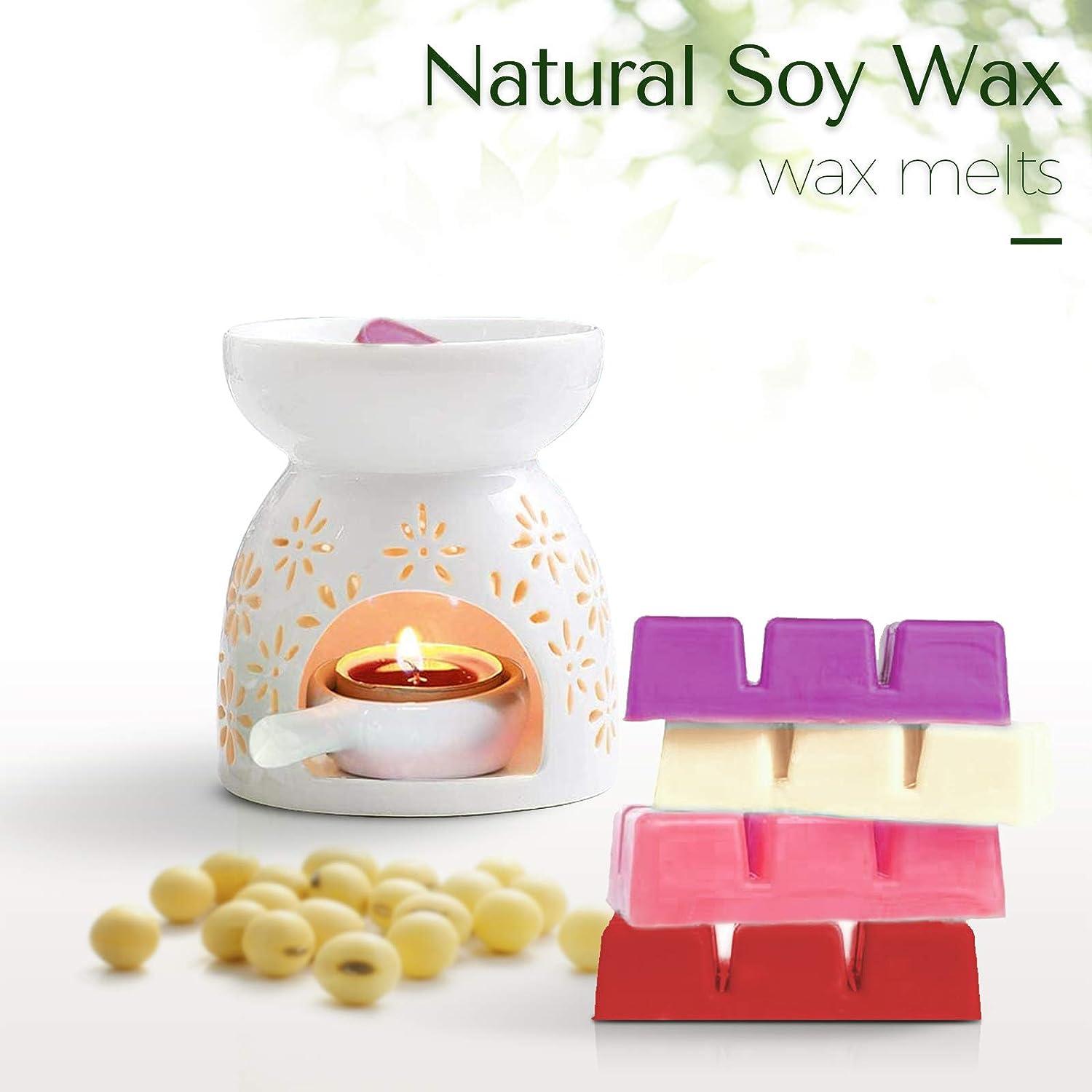 Spa Day Soy Wax Blend Scented Wax Melts | Strong Wax Tart Melts | Long  Lasting Wax Melts | Wax Cubes for Warmer | Gift Ideas