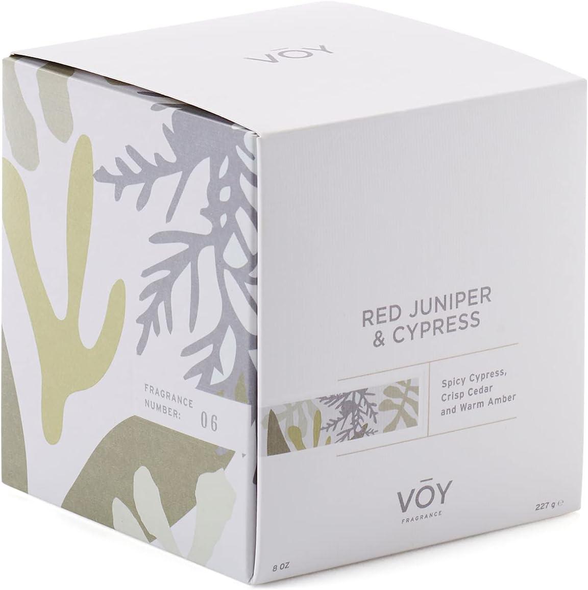 Onlayn pornoda bodibildingchi ayollar