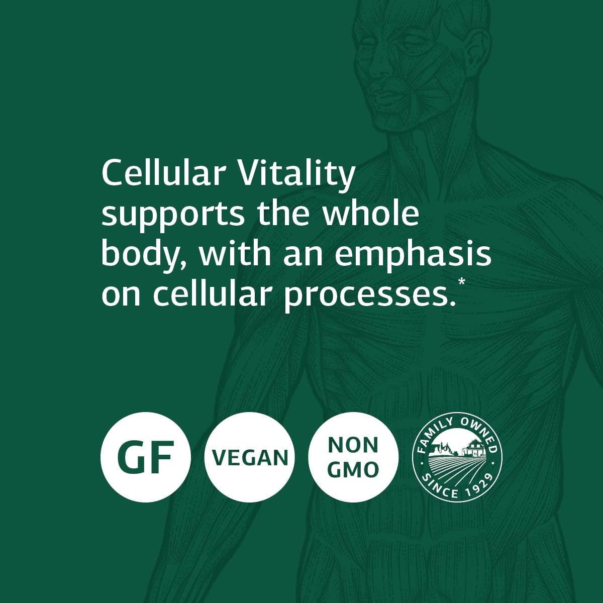 Standard Process Cellular Vitality Supports Cellular Processes with