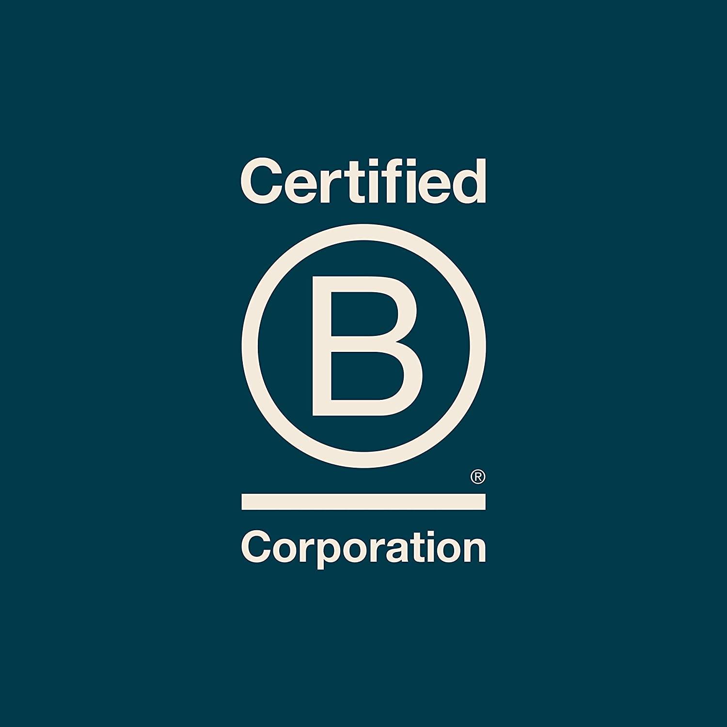 Sir Kensington's Chipotle Mayo 12 oz (Pack of 2) Chipotle 12 Fl Oz