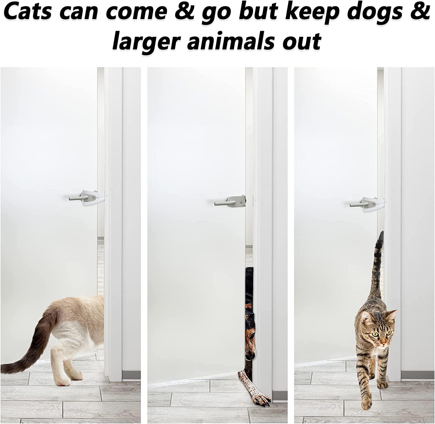 How to Keep Dogs Out of the Cat Litter Box: Easy Effective Tips