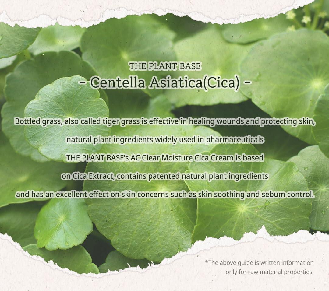 elaeagnus plant Elaeagnus – michaelsnursery
