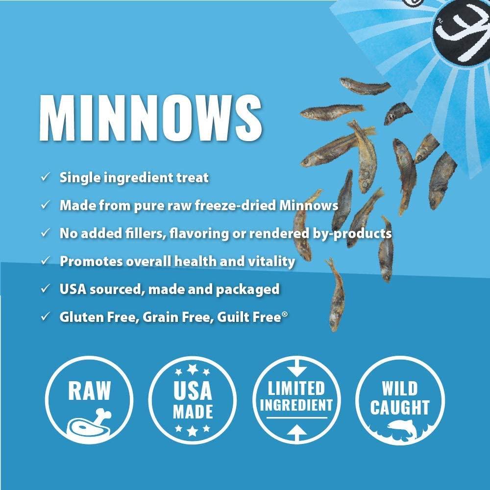 Freeze Dried Raw Minnows (1.0 oz) - Flourish