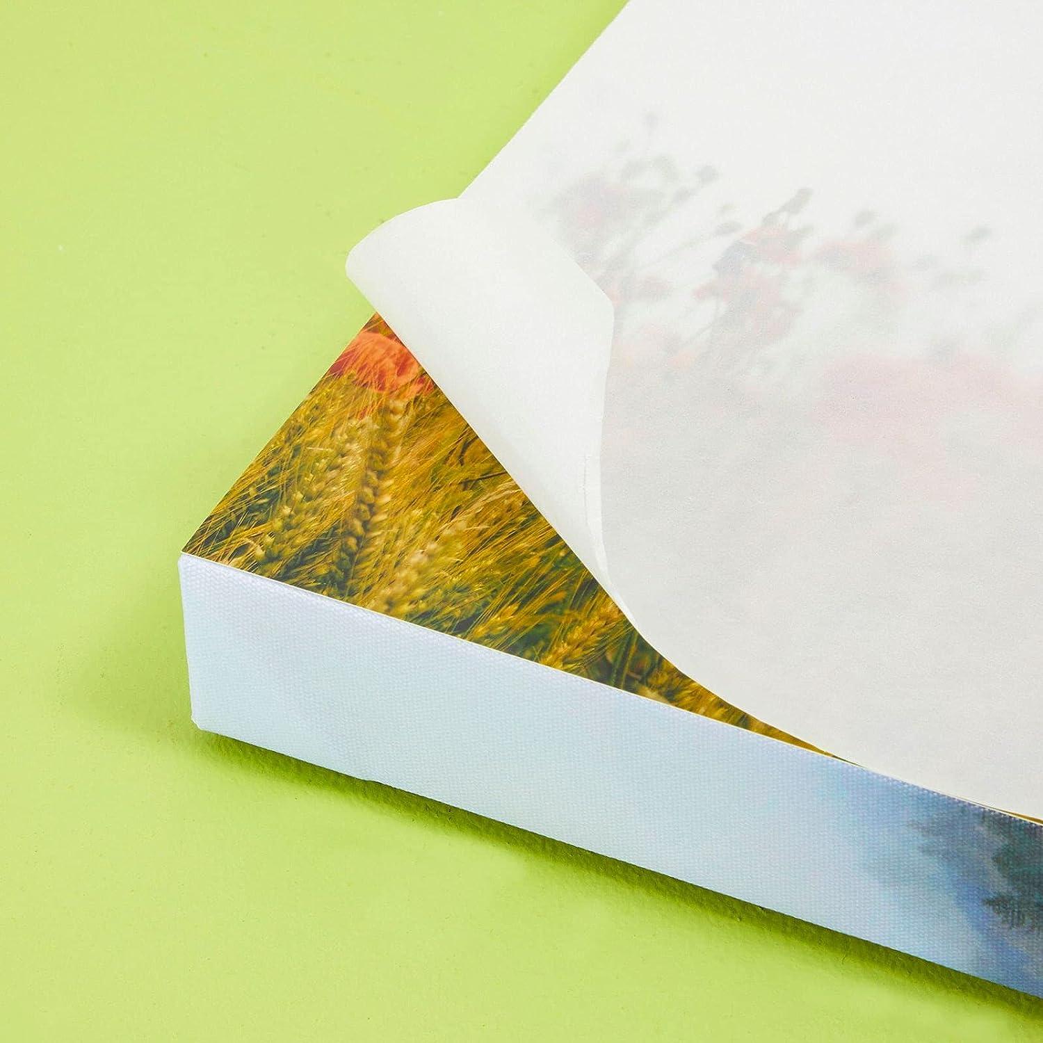 Glassine Art Paper Roll for Artwork, Tracing, Photos, Documents (24 in x 25 Yards)