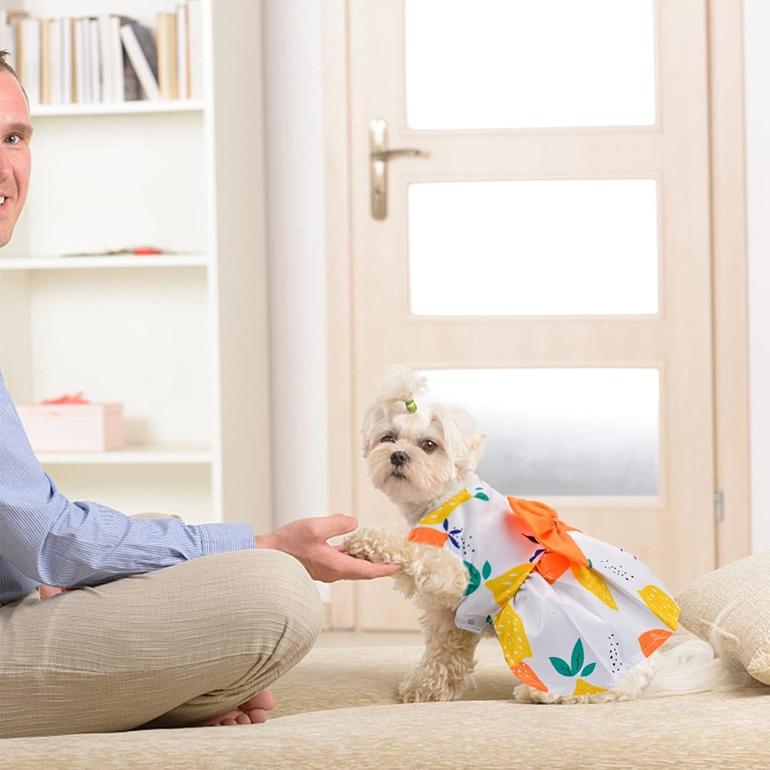 Summer Dog Dress for Small Dogs - Medium Orange Pet Clothing | Buy Now with  Express International Delivery | GoSupps.com