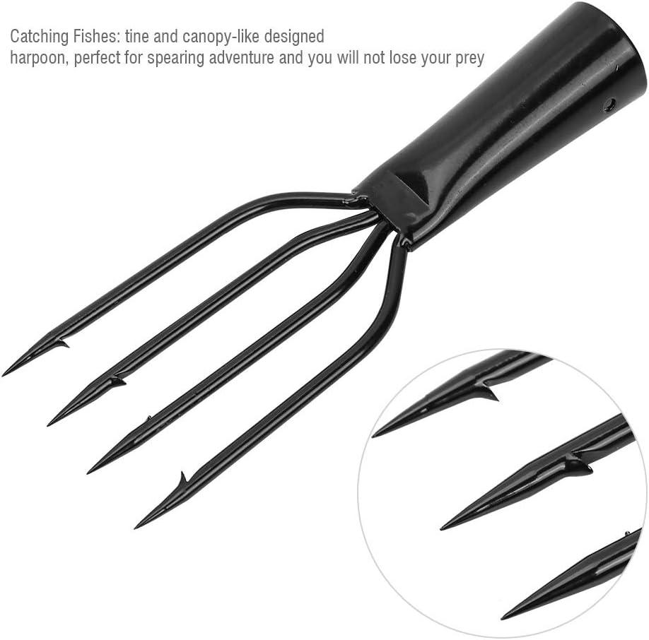 Fish Spear, Frog Spear, Barbed Stainless Steel 4 Prong Tine Fishing Harpoon  Fishing Spear Gig Gaff Fork Hook Screw for Frog and Fish Spear fishing 4  Prong Spearhead Fork Harpoon Tip with Barbs Game