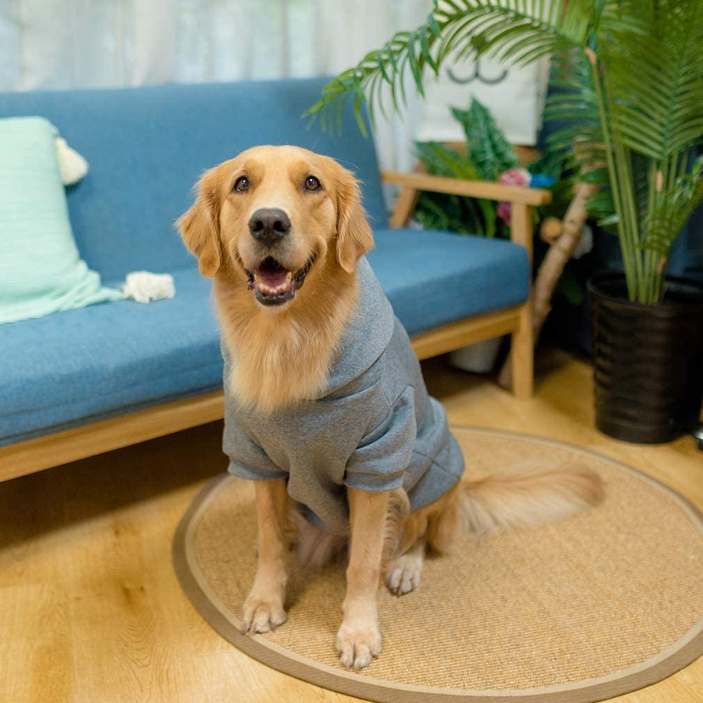 Xxl dog sale hoodie
