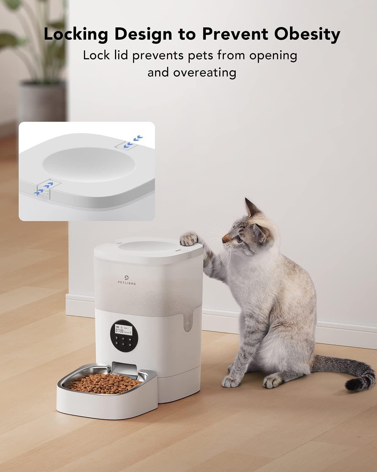 Petlibro Automatic Cat Feeder Video Imported Essentials Pakistan