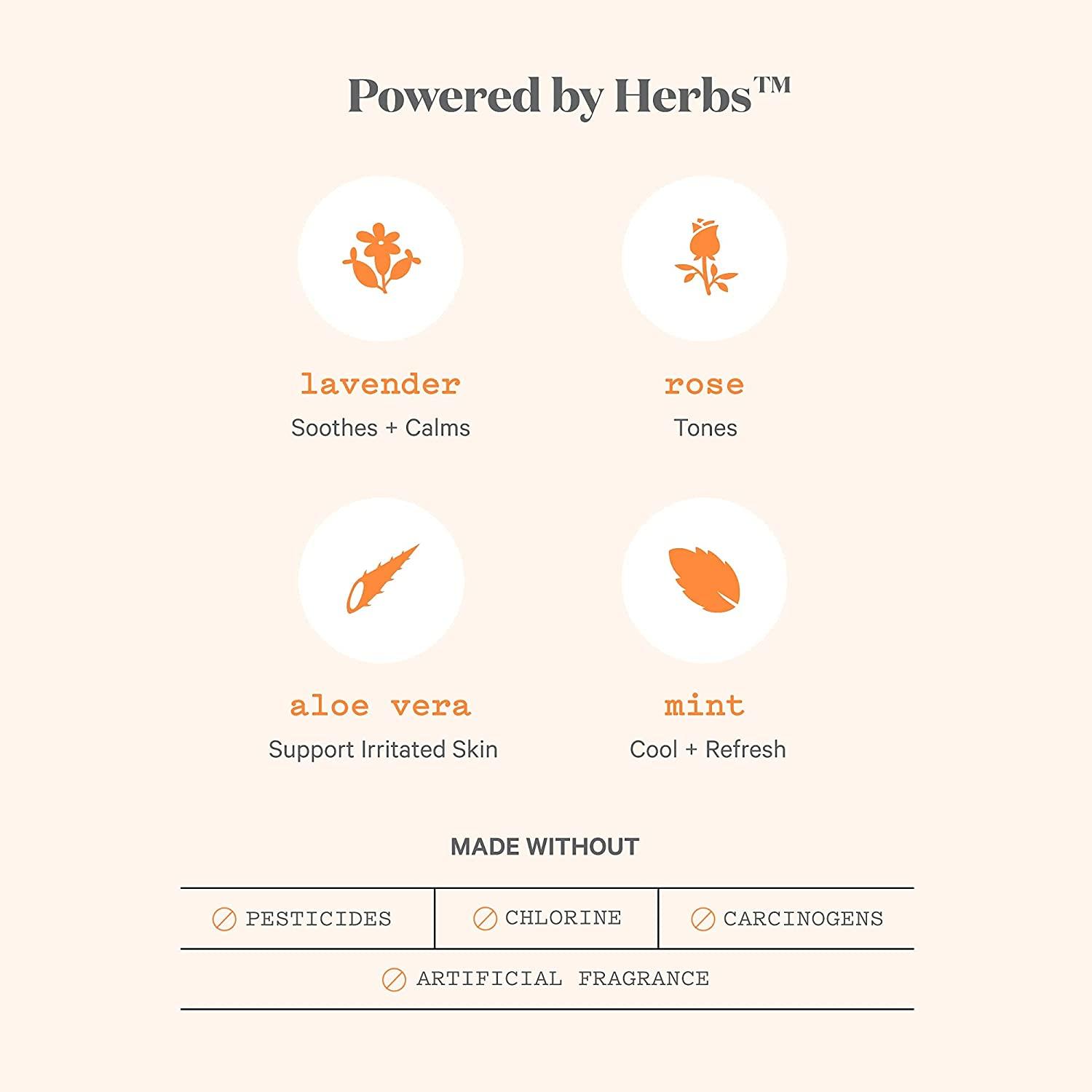 Buy Honey Pot Everyday Panty Liners HerbalInfused Clean Cotton (30