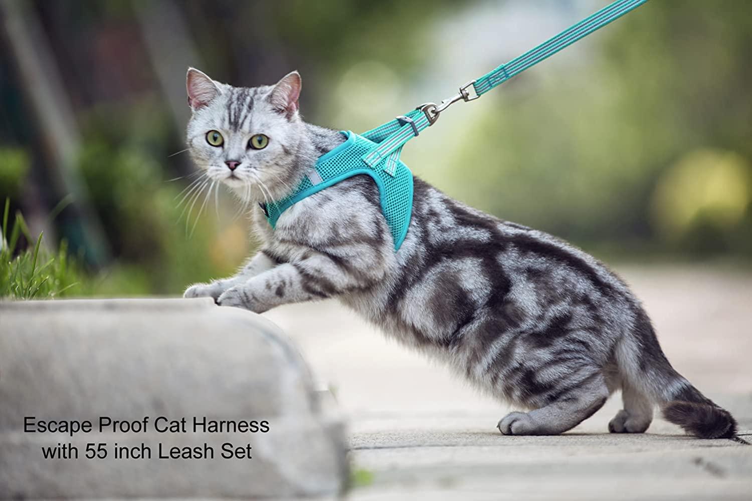Comfort Soft Mesh Cat Harness & Leash