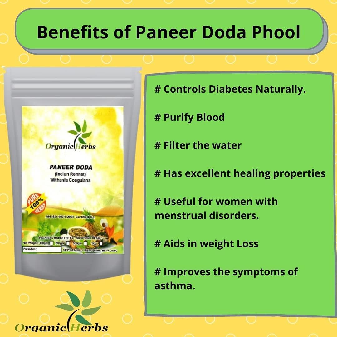 Organic herbs Ayurvedic Herbal Indian Paneer Doda Paneer ka