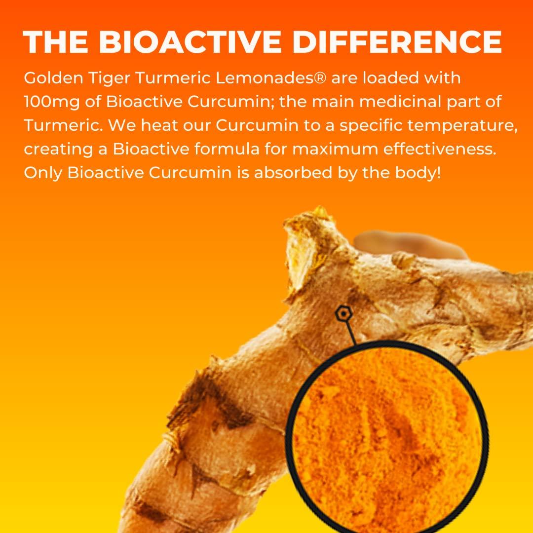 Golden Tiger Organic Sparkling Turmeric Lemonade Original Bio Active Curcumin + Ginger 12