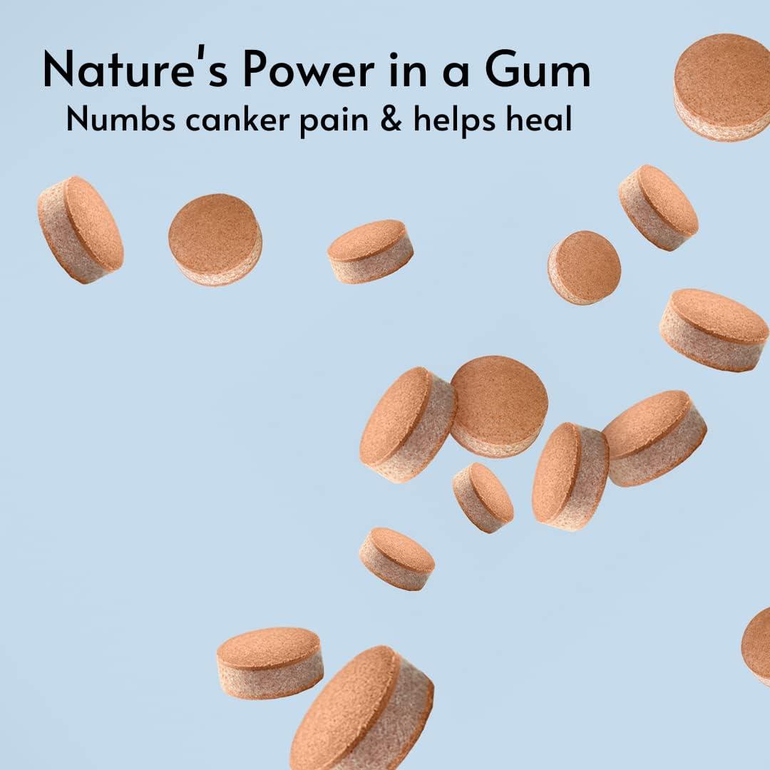 ZINBI Oral Irritation Chewing Gum (12 Count) Rapid Healing Natural