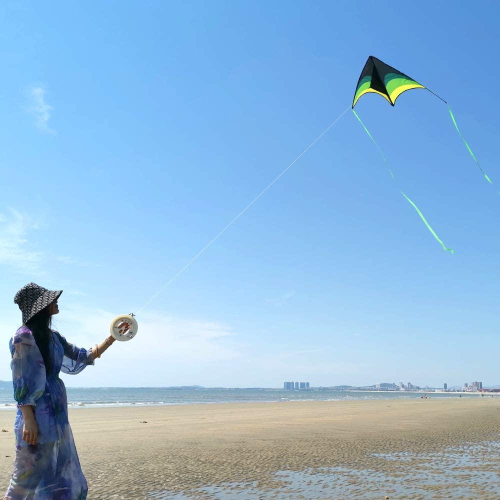 Mint's Colorful Life Delta Kite for Kids & Adults, Extremely Easy to