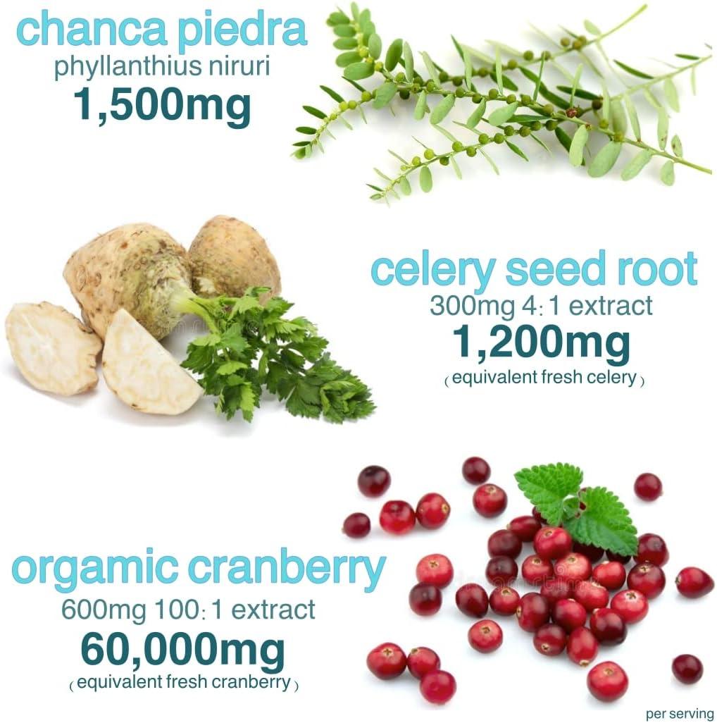 Holistic MD Stone Breaker Chanca Piedra 1,500mg Gummies Kidney Stones