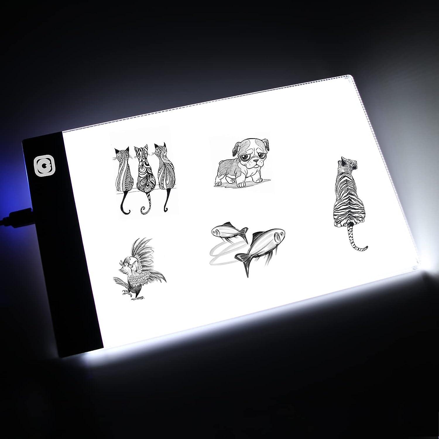 LED Drawing Light Box A4 LED Drawing Board Tracing Light Pad for Students -  China Light Box, Light Pad