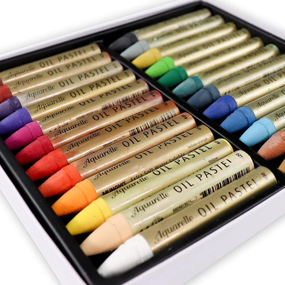 HA Shi Water Soluble Oil Pastels for Artists 24 Color Watercolor Crayons Premium Quality Art Supplies for Kids Adults Water Soluble Oil Pastels 24