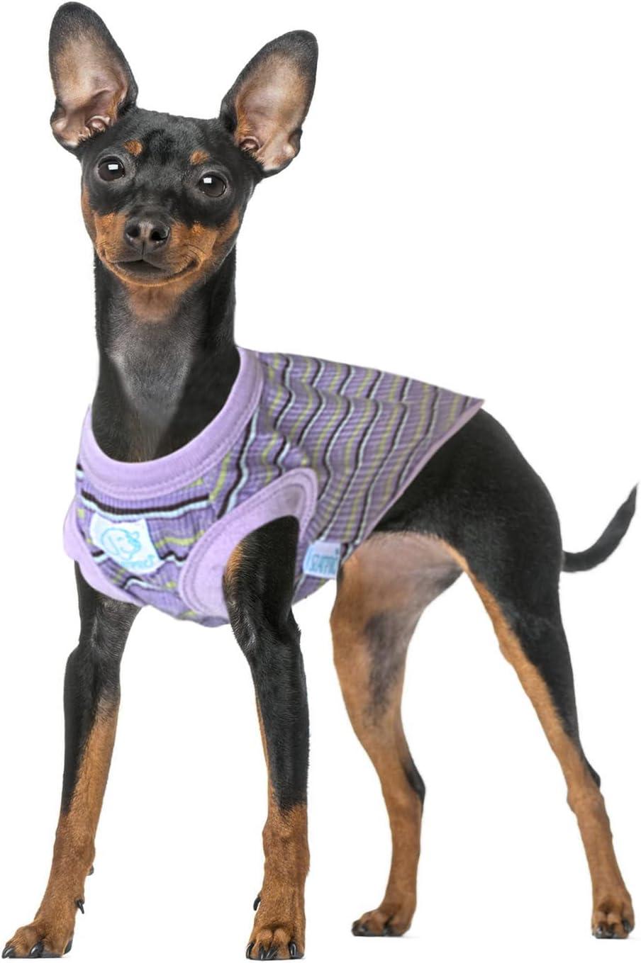 SZAT PRO Striped Teacup Pet Dog T-Shirts, 100% Cotton Tank Vest for Small  Dogs and Cats, Sleeveless Puppy Clothes for Chihuahua Yorkie Purple,X-Small