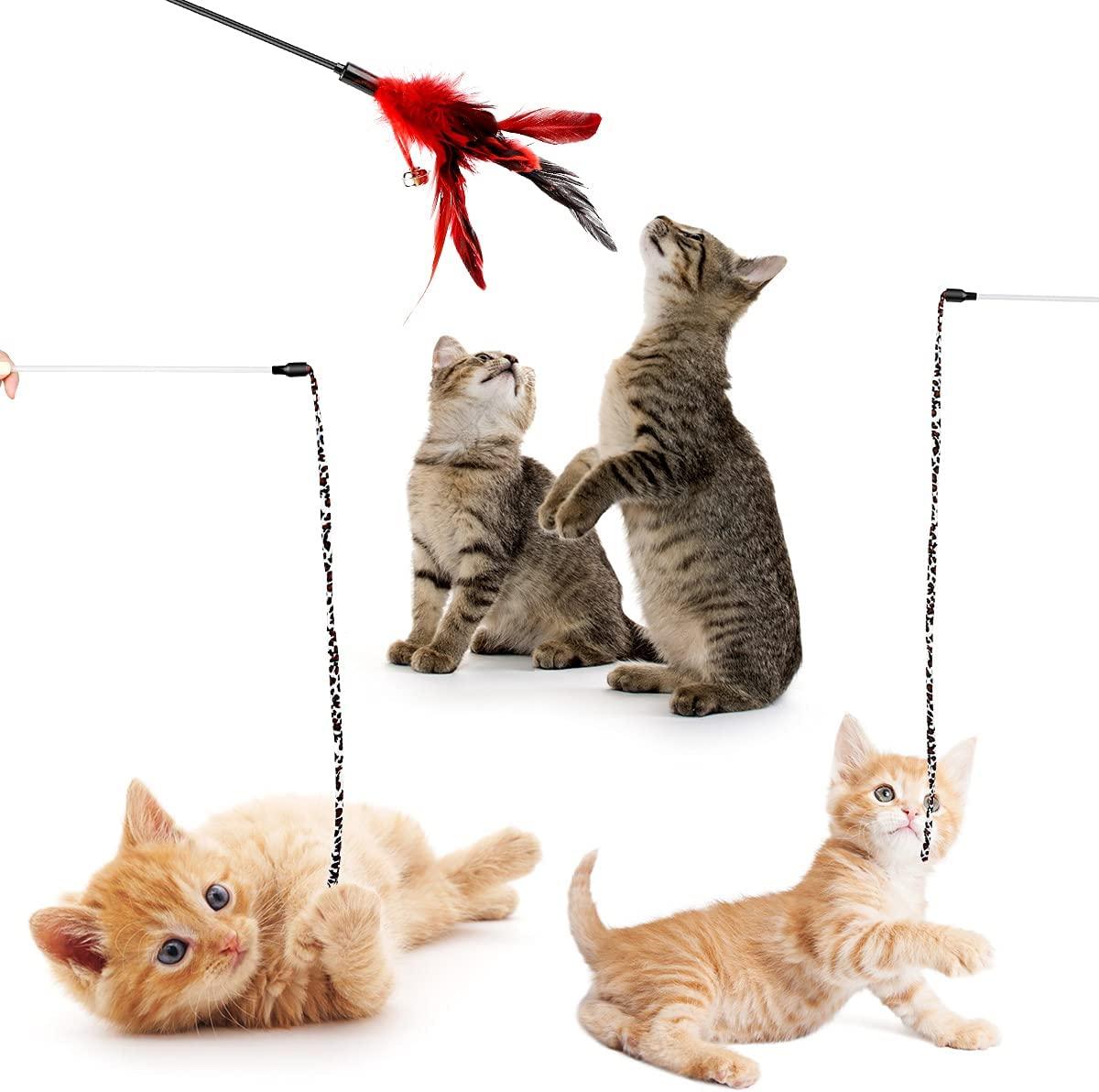 Where to Buy Lots of Cat Toys Cheap Online: Top Budget Picks
