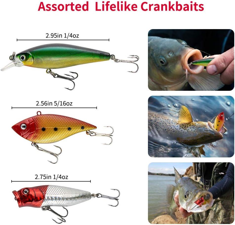 GOTOUR Kit Accessori Da Pesca Completo Con Scatola Porta Esche - Ami, Crankbait, Rane, Cucchiai, Piombi E Tante Altre Attrezzature Per Pesca In Acqua Dolce (Bass, Crappie)