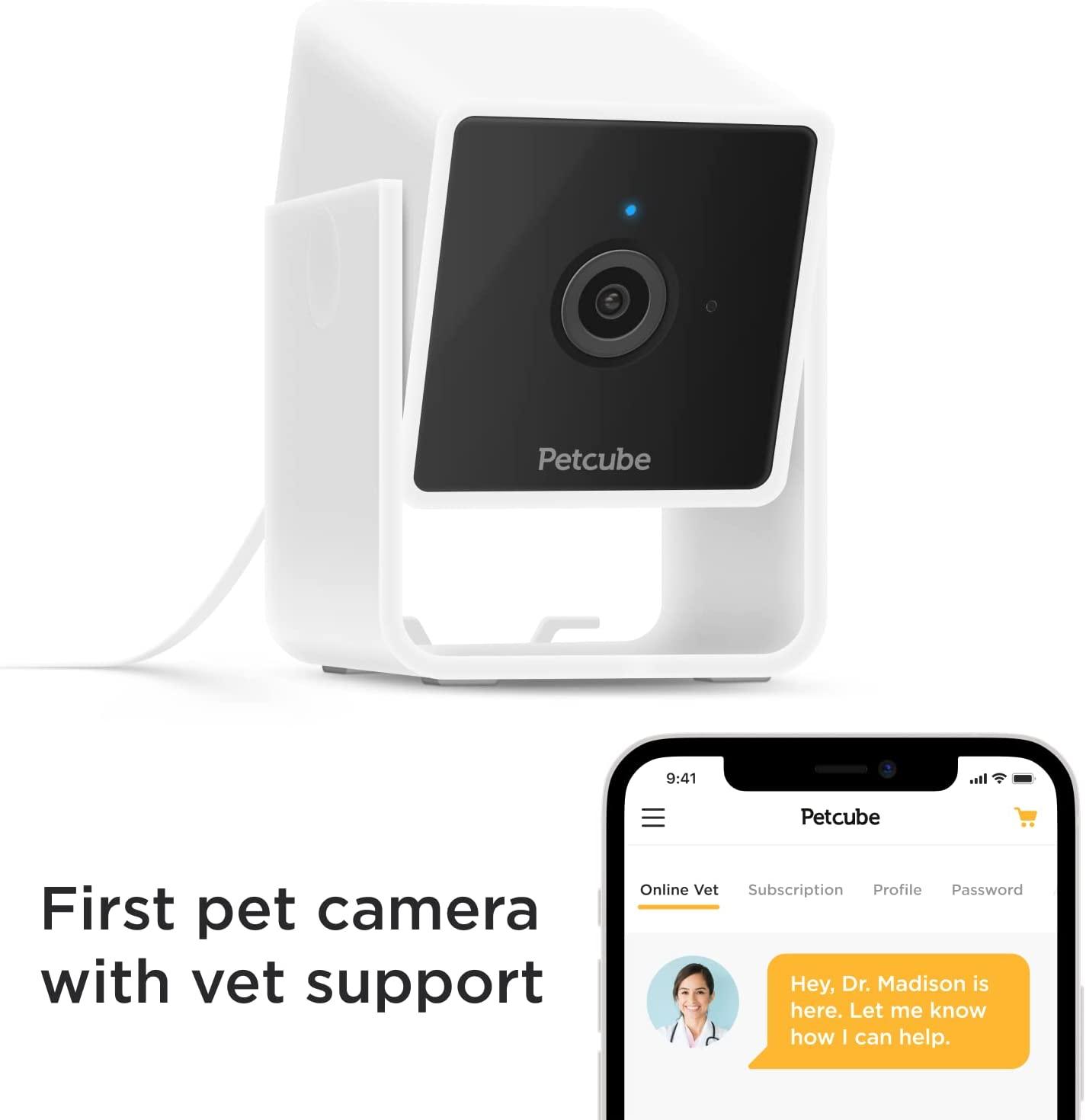 Petcube shop pet camera