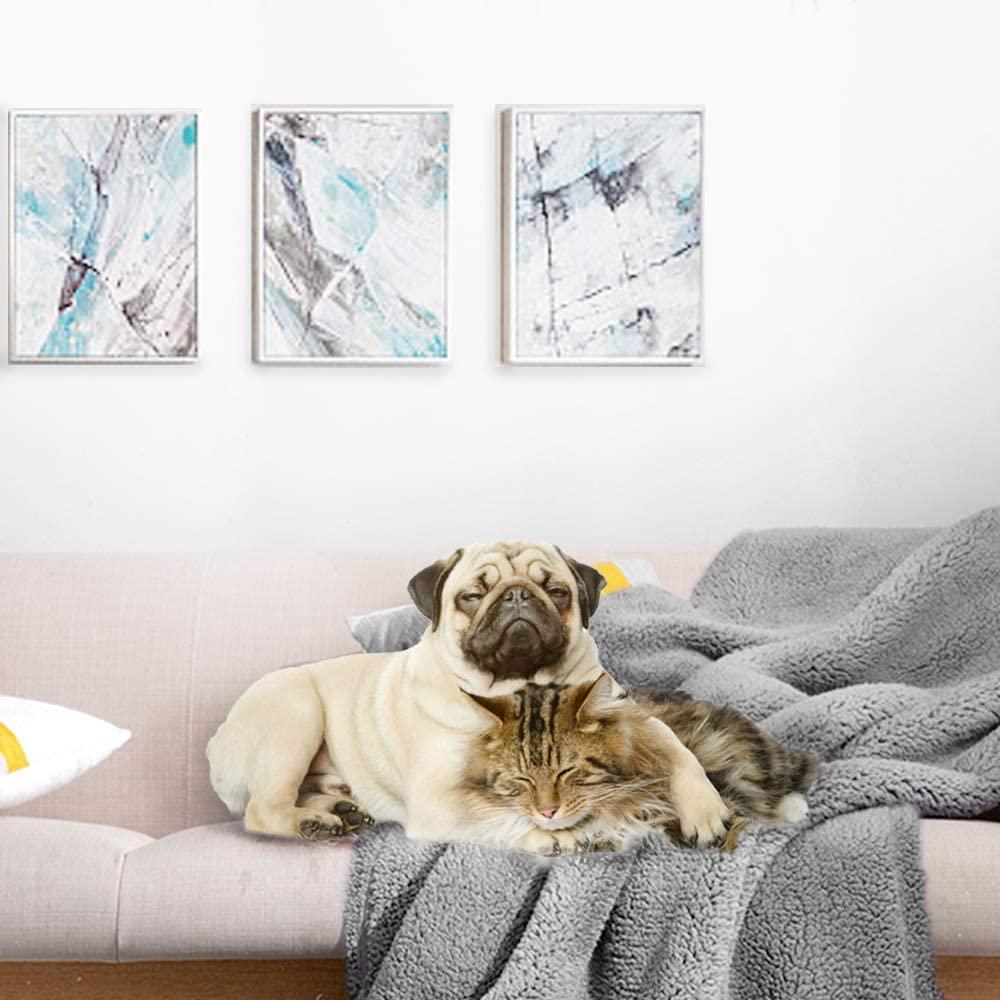 Bed blanket outlet for dogs