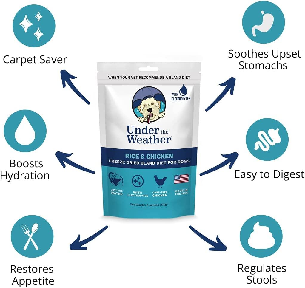 Grain free bland diet for dogs sales