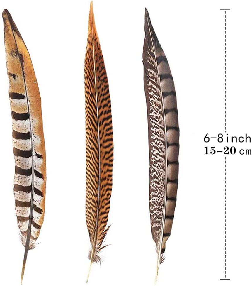 Flying Feathers Natural Pheasant Feathers 4 Style 15-20cm 12pcs