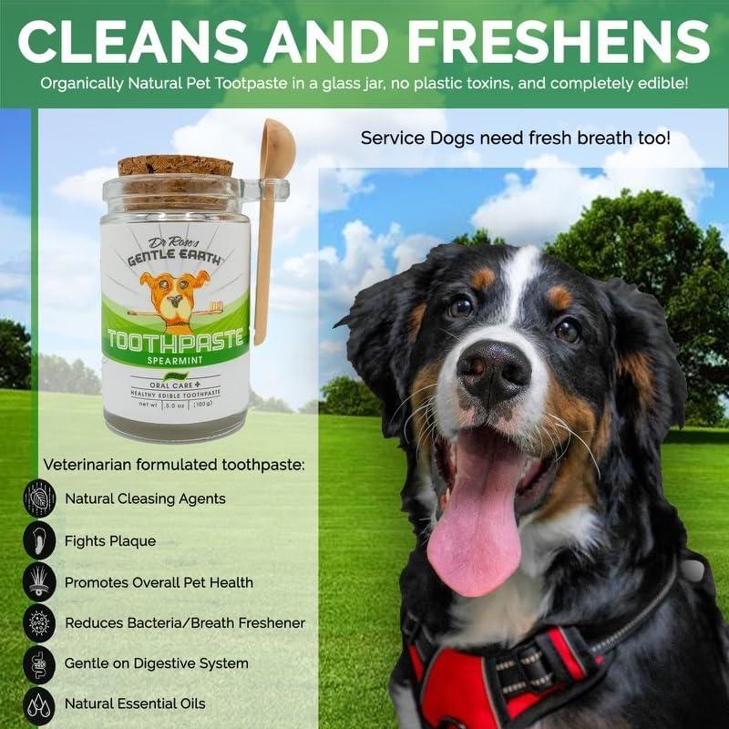 All Natural Organic Dog Toothpaste Veterinarian Formulated