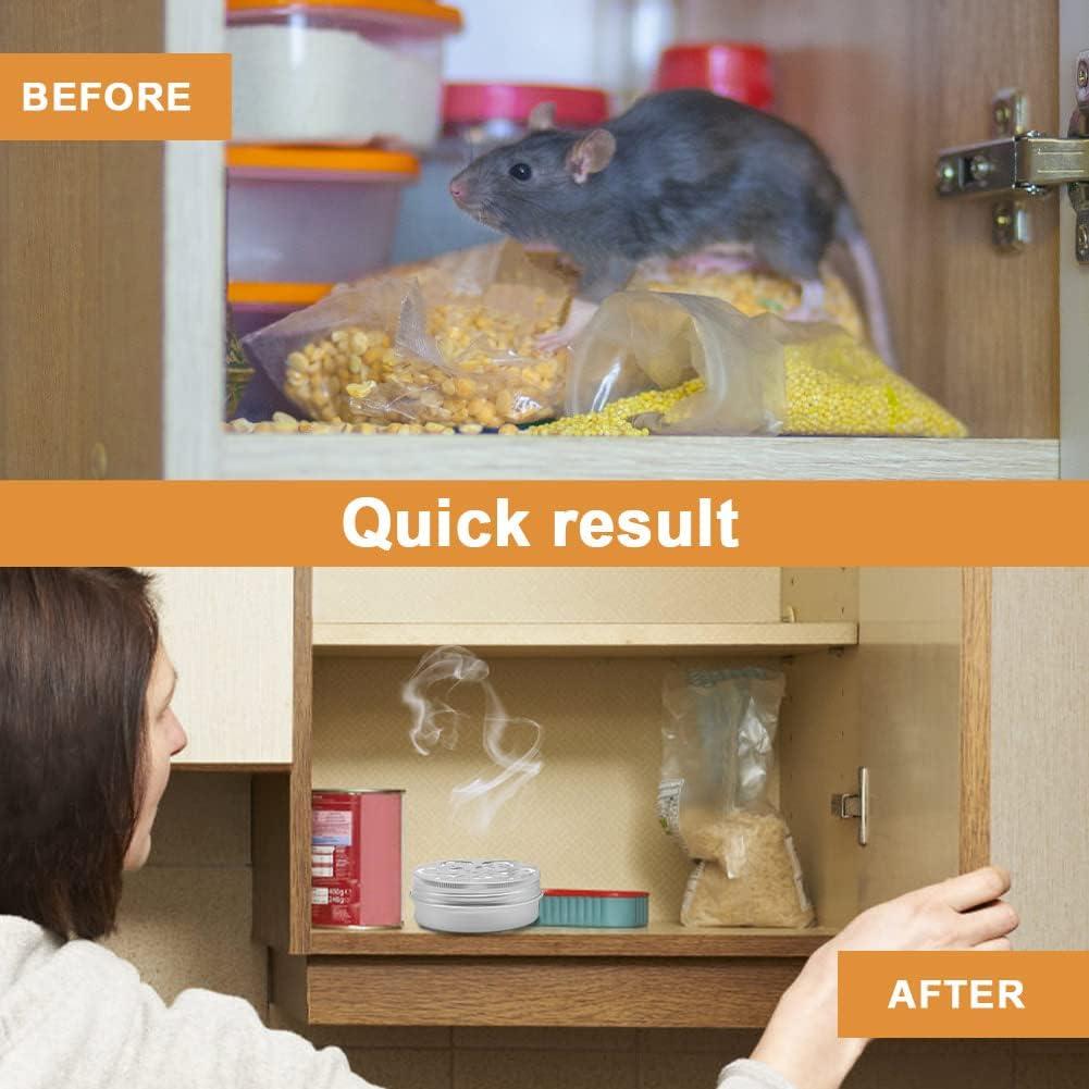 6 Home Remedies That Repel Rodents