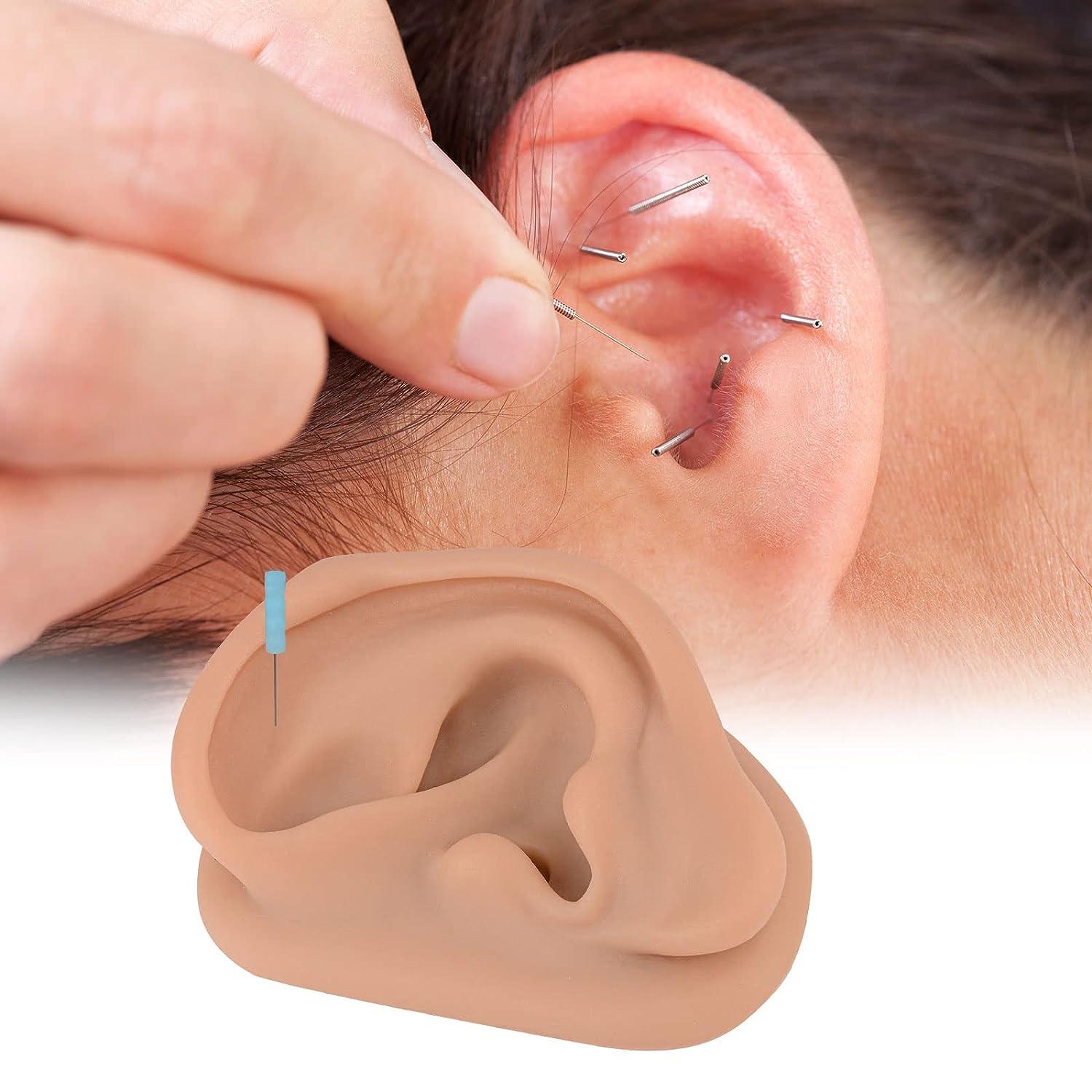 Acupuncture Ear Model Left Artificial Ear Replica for Auricular Therapy