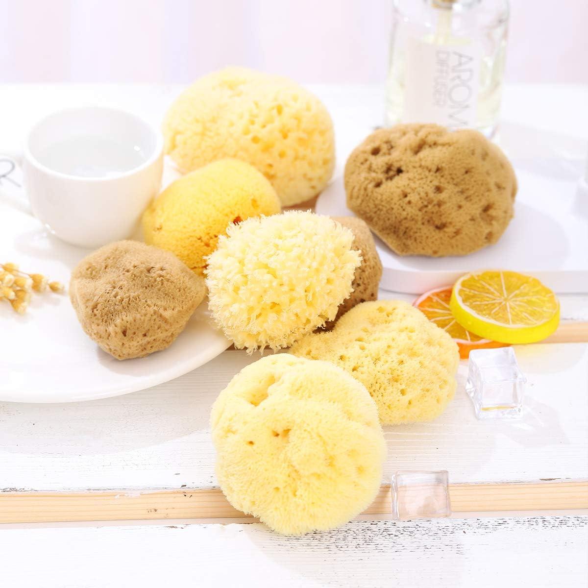 Natural Sea Sponge for Bathing Soft Premium Greek Sponges for