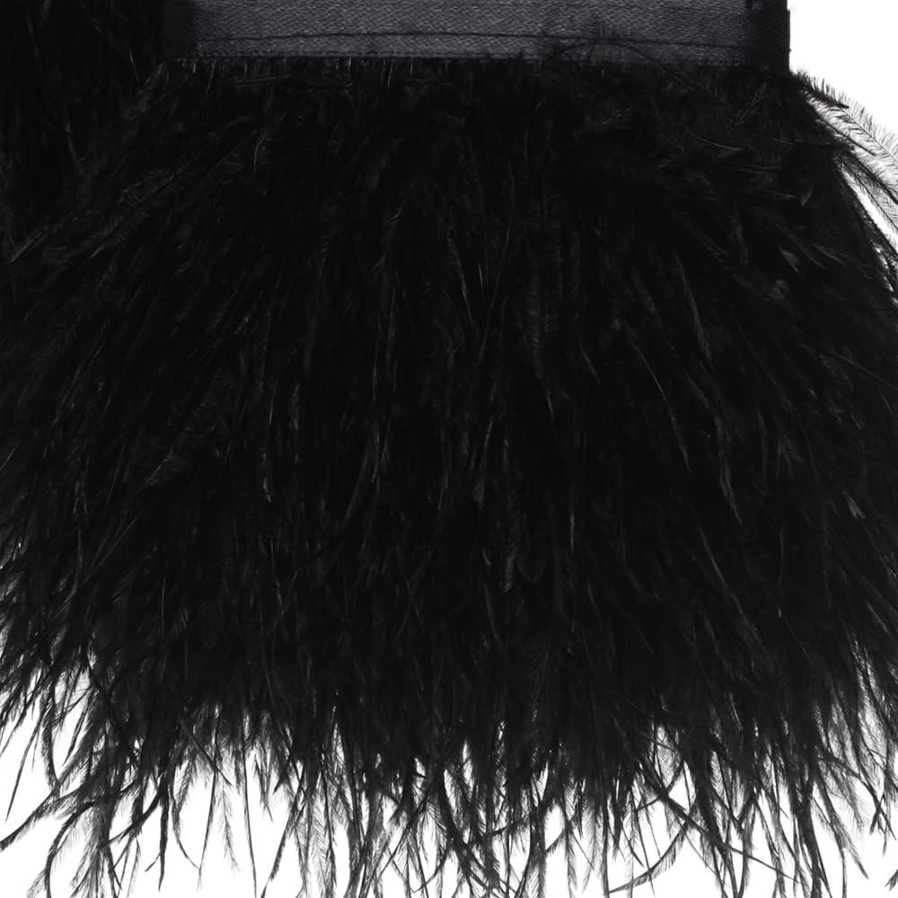Ostrich Feathers 2-Pkg-Black