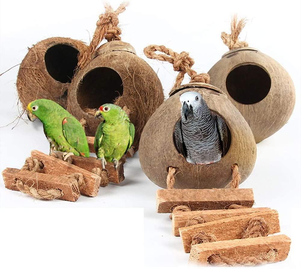 Hanging Bird House with Ladder Natural Coconut Fiber Shell Bird