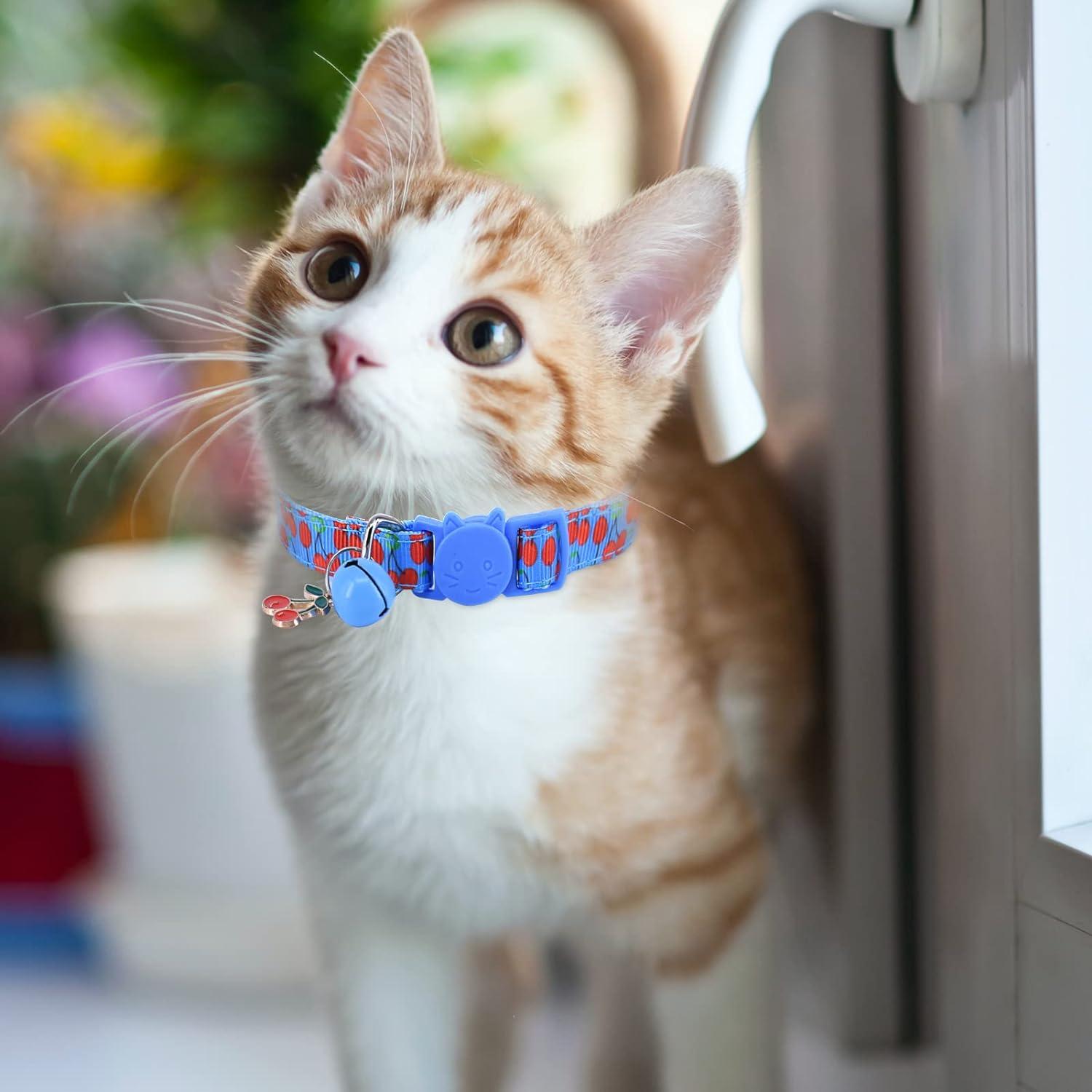 Cat Litter Collars Cat Collars With Name Tags Reflective Breakaway Orange Paw Print
