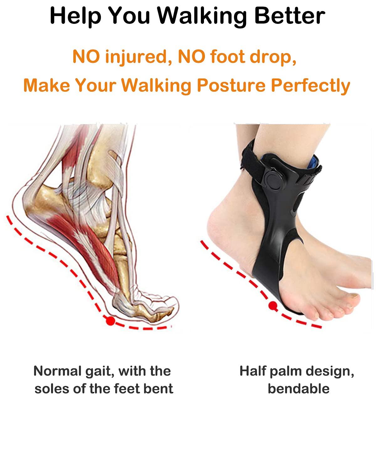 Afo Foot Drop Brace Splint Ankle Foot Orthosis Walking with Shoes or  Sleeping for Stroke HemiplegiaM-Right 