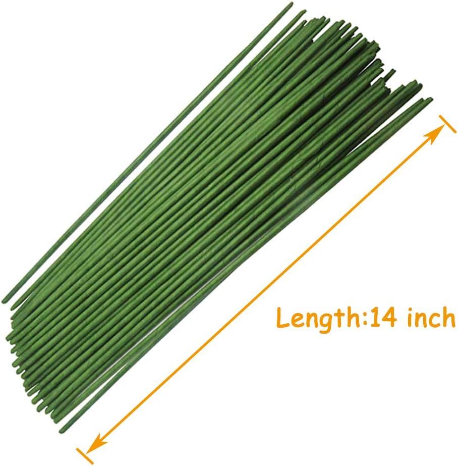 100PCS 18Ga Floral Stem Wires Green Crafting Floral Stem Wire for DIY  Crafts and Flower Arrangement 14 Inches