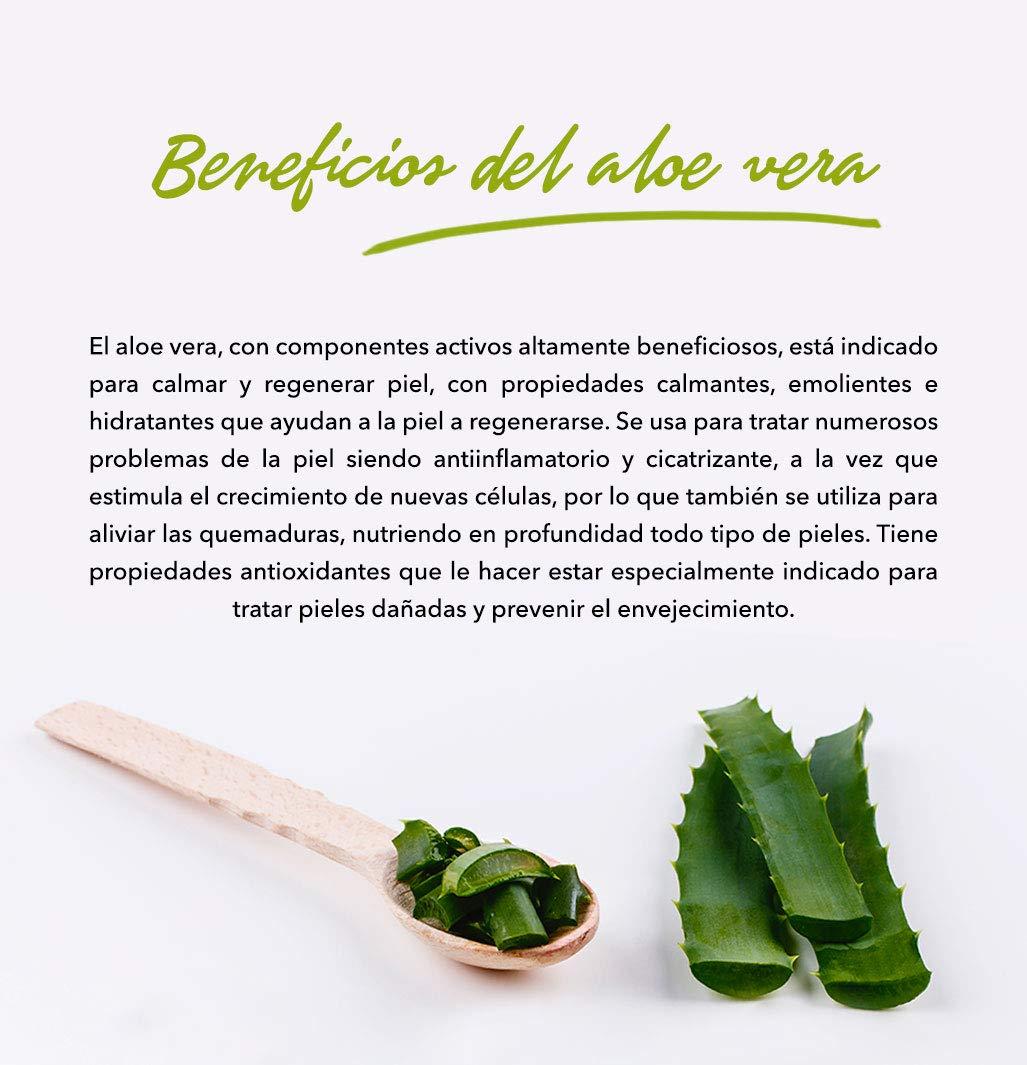 Buy Tabaibaloe Aloe Vera Face & Body Cream 50ml - Hydrating Skincare for  All Skin Types | International Shipping | Buy Now with Express  International Delivery | GoSupps.com