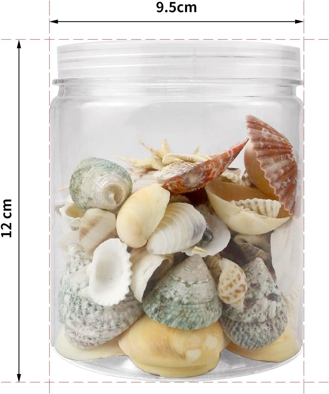 135 PCS Sea Shells Mixed Beach Seashells Starfish, Colourful Natural  Seashells Perfect Accents for Candle Making,Home Decorations, Beach Theme  Party Wedding Decor, Fish Tank and Vase Fillers : : Home