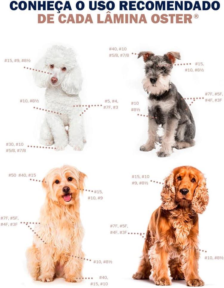 OSTER Cryogen-X Pet Clipper Blades 10 SIZE 40 White Buy Now with